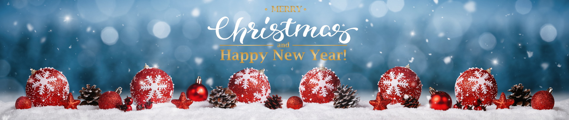 Christmas Banner 225